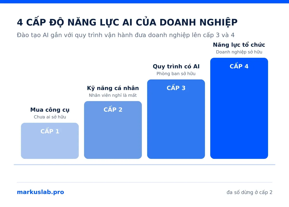 Infographic 4 cấp độ năng lực AI: đào tạo AI gắn với quy trình vận hành đưa doanh nghiệp lên cấp 3 và 4